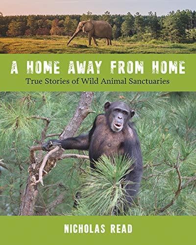 A Home Away from Home: True Stories o…, Nicholas Read