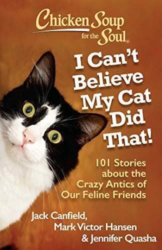 Chicken Soup for Soul: I Can’t …, Jennifer Quasha