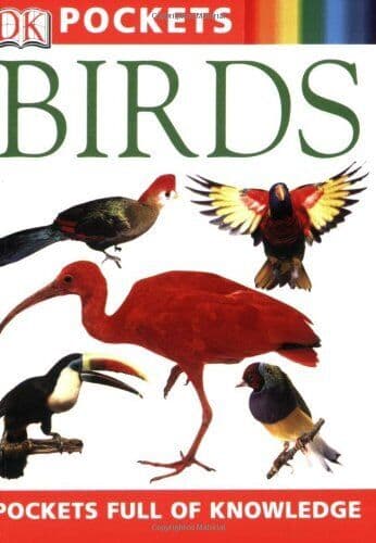 Birds (Dk Pockets), Taylor, Barbara