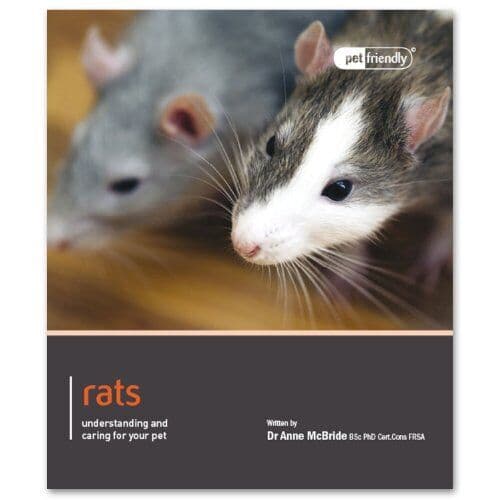 Rats - Pet Friendly by Julia Smith