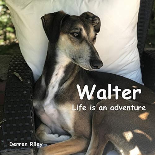 Walter, Life is an adventure, Riley, Derren