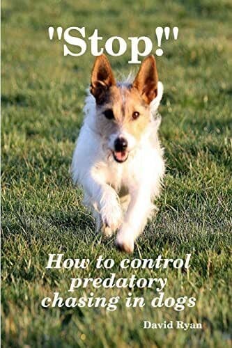 “Stop!” How to control predatory chasing in dogs by Ryan Ccab, David