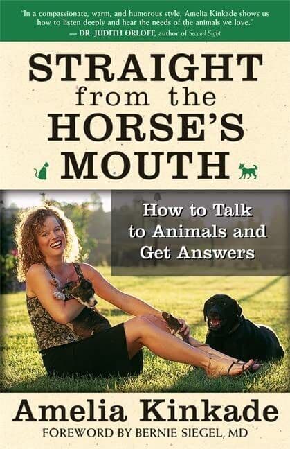Straight from Horse’s Mouth: How to Talk to … by Kinkade, Amelia