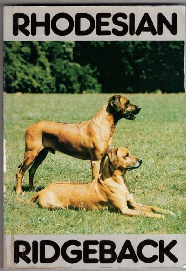 RHODESIAN RIDGEBACK, Ann Woodrow