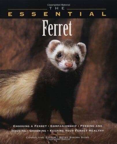 The Essential Ferret (Essential Guide)