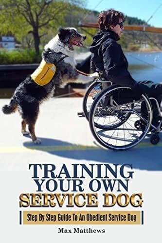 Training Your Own Service Dog: Step B…, Matthews, Max