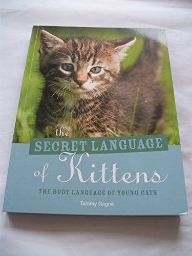 The Secret Language of Kittens, Tammy Gagne