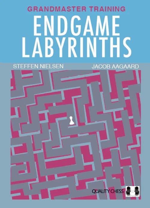 Jacob Aagaardin ja Steffen Nielsenin Endgame Labyrinths (kovakantinen)