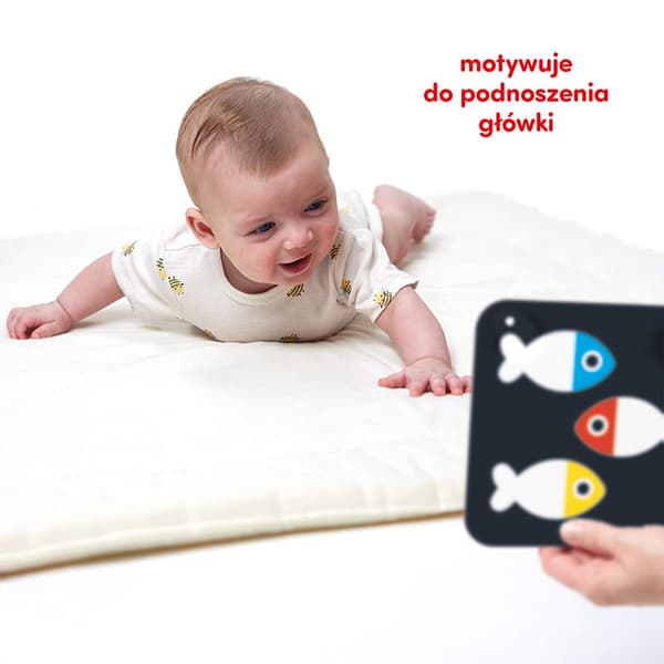 Store kontrastkort til børn 0+ og 3m+, CzuCzu