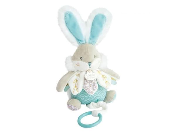 DOUDOU ET COMPAGNIE - Sockerkanin - Speldosa - Grön - Från 4 år - Blandat