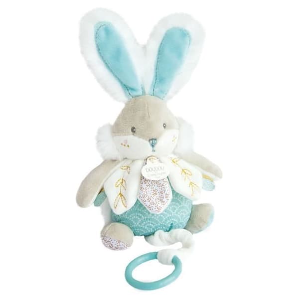 DOUDOU ET COMPAGNIE - Sockerkanin - Speldosa - Grön - Från 4 år - Blandat