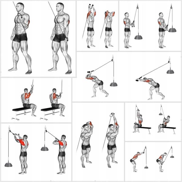 Pull-up øvelsessæt: stang 2 cm, reb 2,5 m, lige håndtag 51 cm