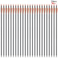 Miniatyrbillede 2 af 2: Kulfiberpile, 24 stk, 31,5 tommer længde,24stk Orange