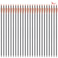 Miniatyrbillede 1 af 2: Kulfiberpile, 24 stk, 31,5 tommer længde,24stk Orange