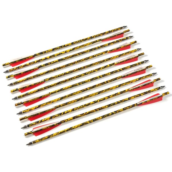 Kulfiber Armbrøstpile, 20 Tommer Længde, 125 Grain Spidser,24 Stk