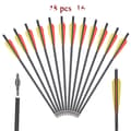 Miniatyrbillede 1 af 2: Bue Carbon Pil, 16 Tommer Længde, Letvægtsdesign,48stk 16tommer YR