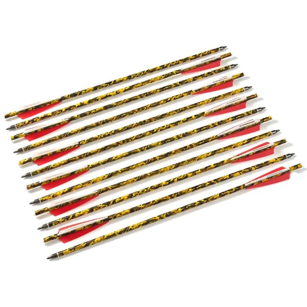 Kulfiber Armbrøstpile, 20 Tommer Længde, 125 Grain Spidser,24 Stk