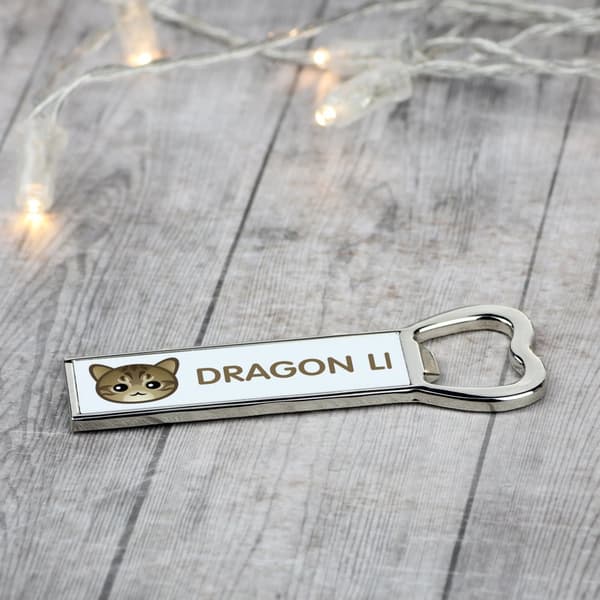 Li Hua - Dragon Li - avaaja grafiikalla ja Art-Dog-tuotemerkin kirjoituksella