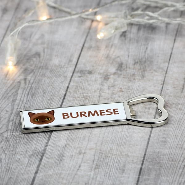 Burma - avaaja grafiikalla ja Art-Dog-tuotemerkin kirjoituksella