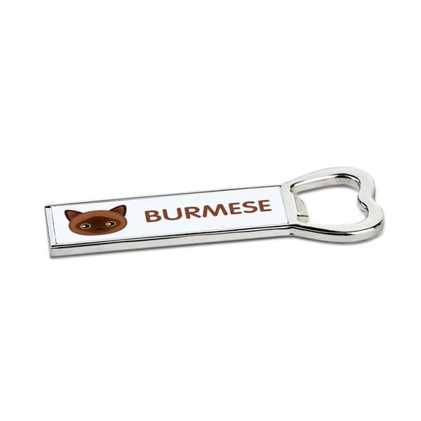Burma - avaaja grafiikalla ja Art-Dog-tuotemerkin kirjoituksella