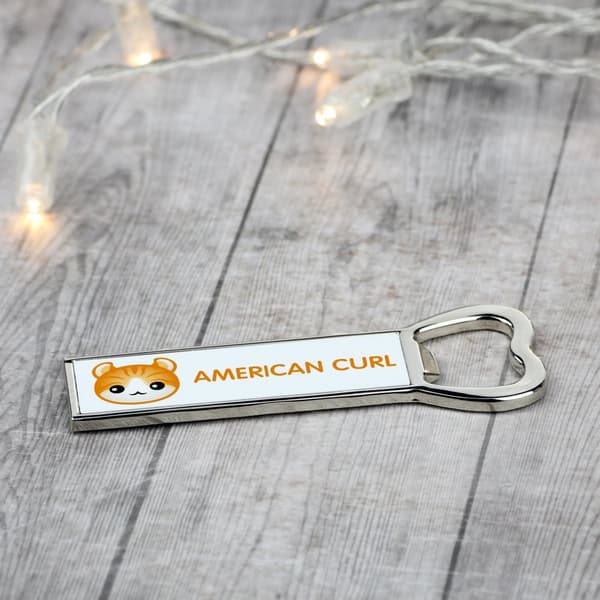 American twist - avaaja grafiikalla ja Art-Dog -brändin merkinnällä