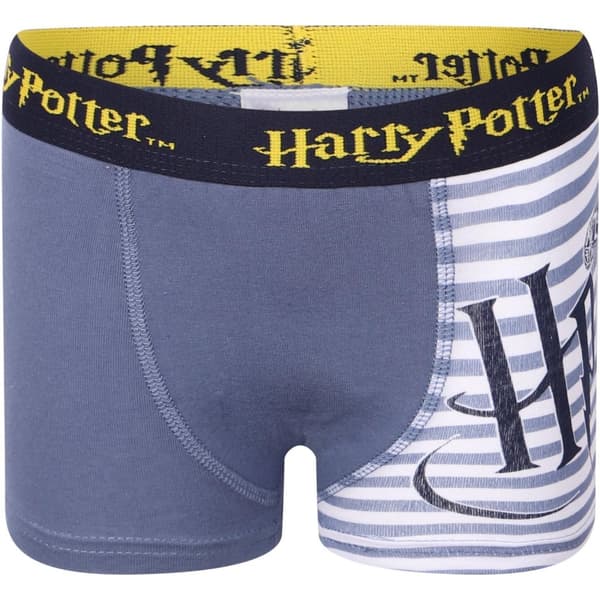 2-pak boxershorts Harry Potter