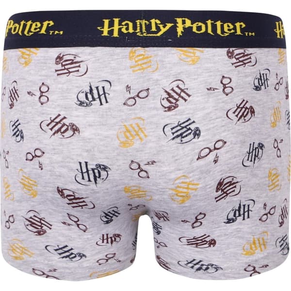 2-pak boxershorts Harry Potter