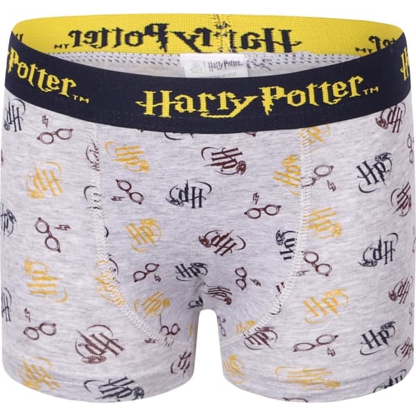 2-pak boxershorts Harry Potter
