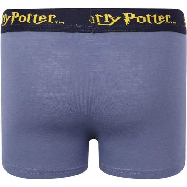 2-pak boxershorts Harry Potter