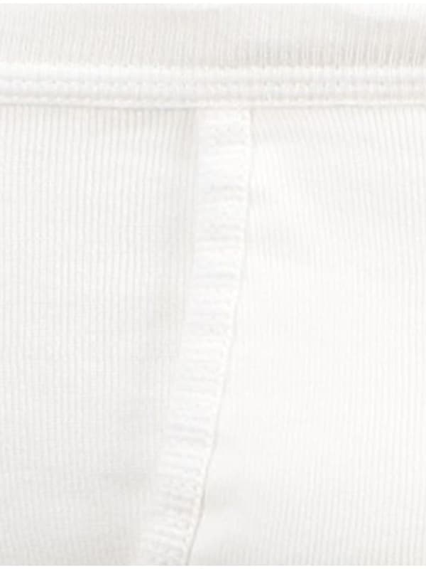 Bison - Brief 80-95653