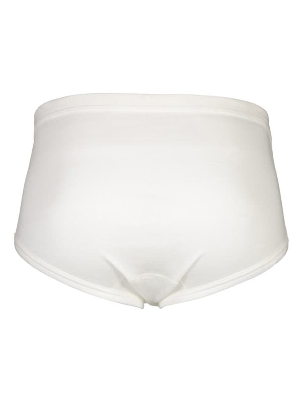 Bison - Brief 80-95653