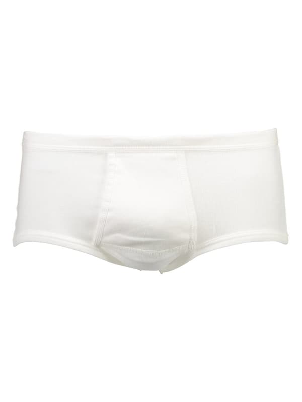 Bison - Brief 80-95653