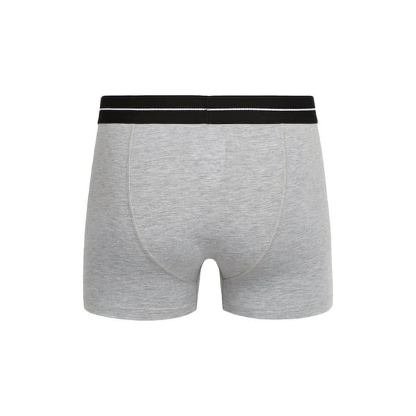 Crosshatch Mens Ambek Boxer Shorts (Pack of 2)