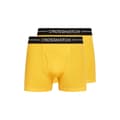 Pikkukuva 1 / 4: Crosshatch Mens Hexter Boxer Shorts (Pack Of 2)