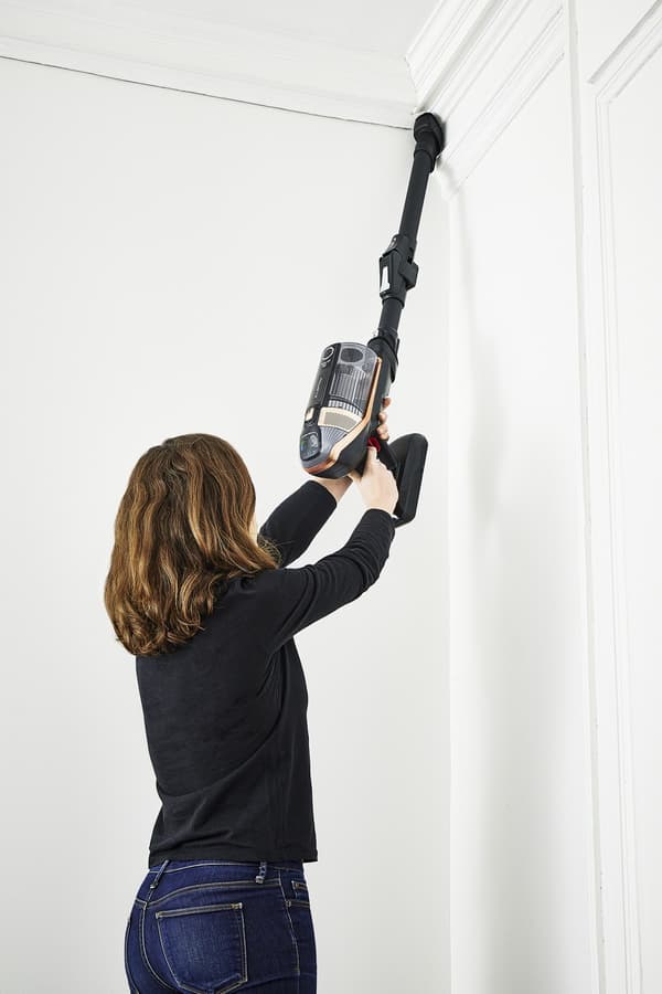 Rowenta RH99F1 X-Force Flex 15.60 (RH99F1)