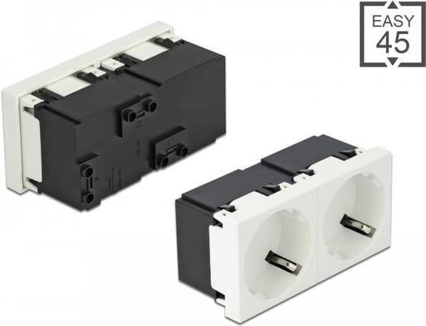 Delock - Easy 45 - Stikkontakt - 2P - Type F - med lås - 2 fatninger - 16 A - AC 250 V - hvid, RAL 9003 (81423)