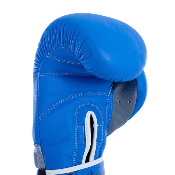 Fullboxing Boksehandsker I Kunstlæder Master Blå 14 oz