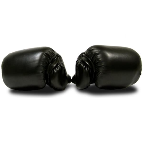 MASTER boxningshandskar 8 Oz