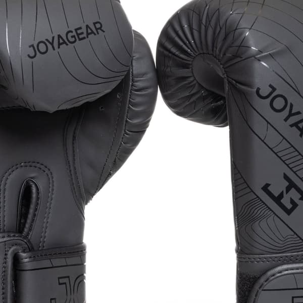 Joya Essential Kickbokshandschoenen zwart