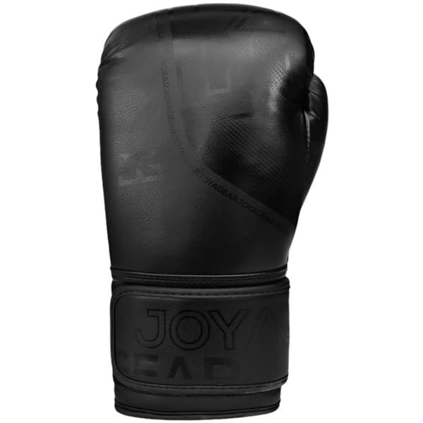 Joya Evolution Kickbokshandschoenen zwart