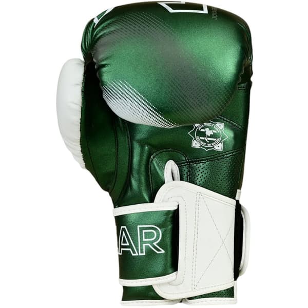 Joya Evolution Kickbokshandschoenen groen
