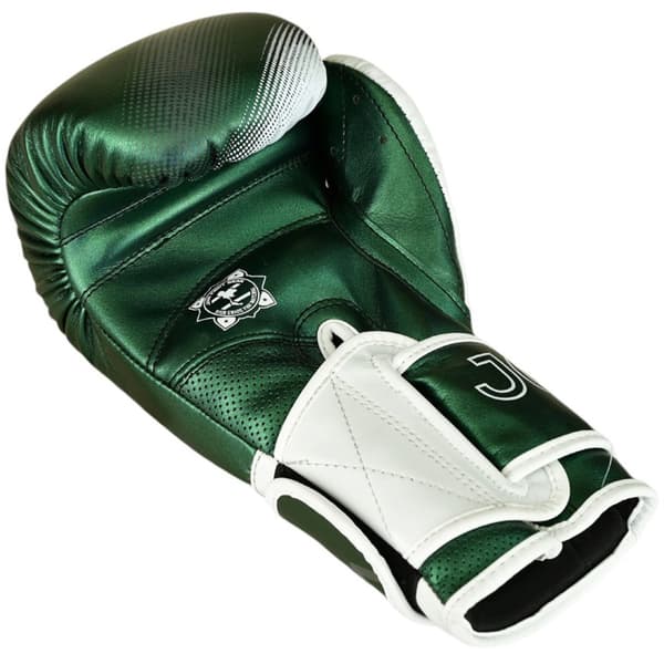 Joya Evolution Kickbokshandschoenen groen