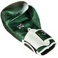 Miniatyrbillede 2 af 5: Joya Evolution Kickbokshandschoenen groen