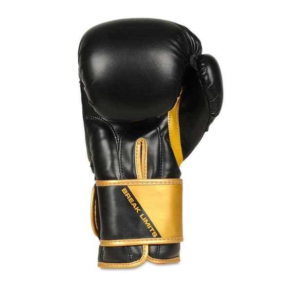 DBX Bushido Boksehandsker Sparring B-2v10 12OZ