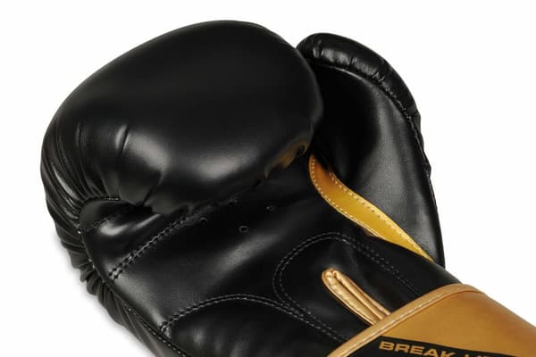 DBX Bushido Boksehandsker Sparring B-2v10 12OZ