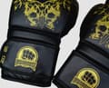 Miniatyrbillede 2 af 3: WarHouse Skull Guld Boksehandsker 16OZ