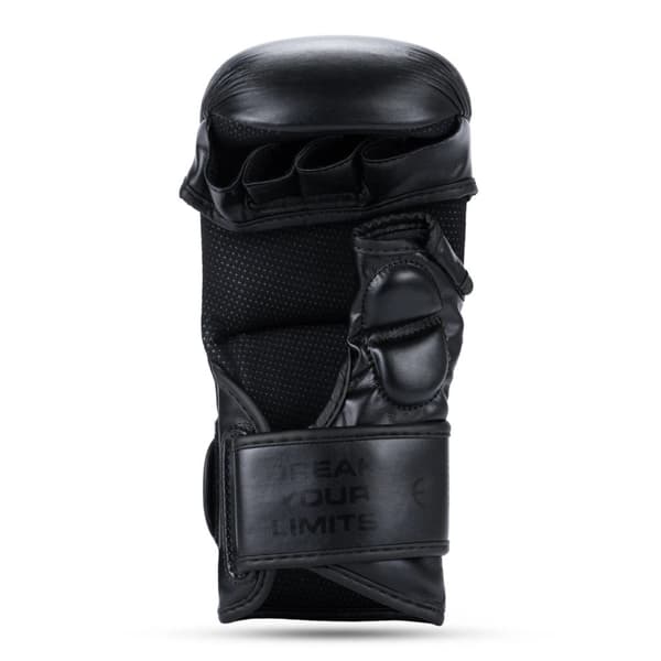 DBX Bushido Premium MMA -sparraushanskat "Warrior Black" M