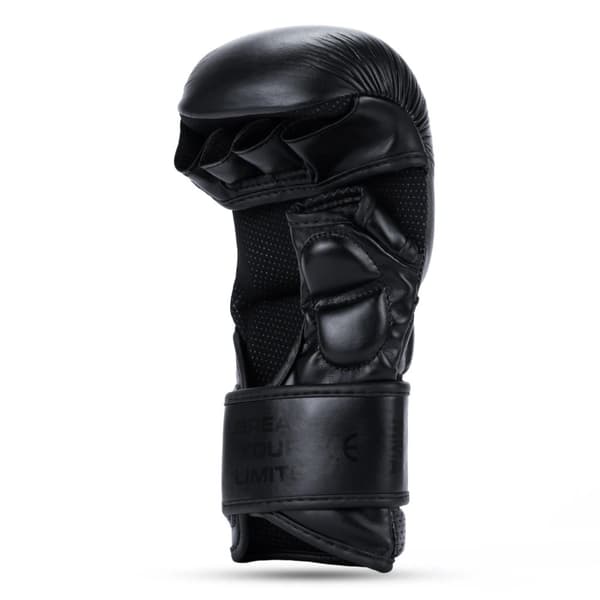 DBX Bushido Premium MMA -sparraushanskat "Warrior Black" M