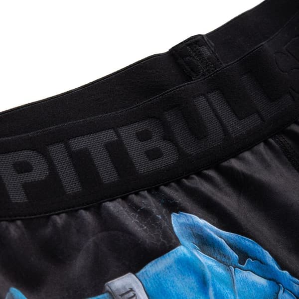 Pit Bull Compression Shortsit Vale Tudo Shortsit Skull Dog 18 M