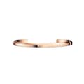 Miniatyrbild 1 av 4: Daniel Wellington nbsp;DW00400001 Armband i rostfritt stål med guldplätering 65 cm för män